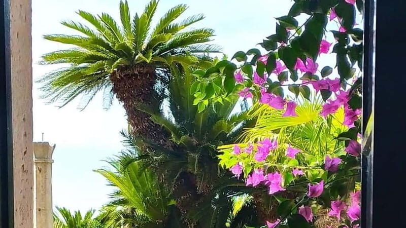 Dubrovnik Views & Trsteno Botanical Garden Experience - Who Will Love This Tour?