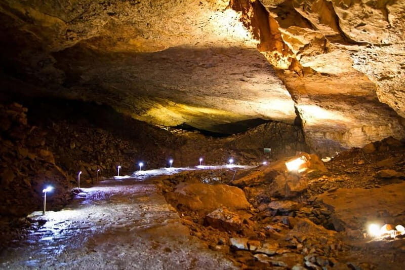 Dubrovnik: Vjetrenica Cave, Ombla and Trsteno Arboretum Tour - Introduction to the Tour Experience  