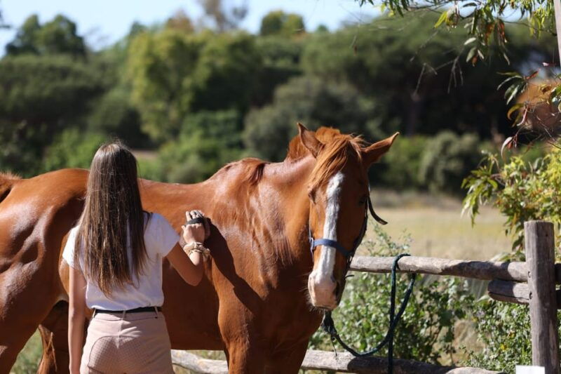 dude-ranch-in-rome-2