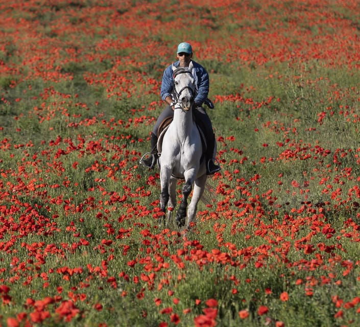 dude-ranch-in-rome-2