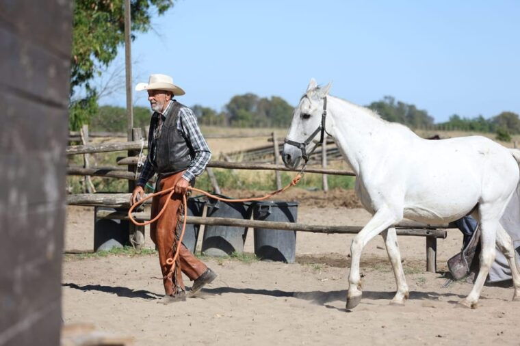 dude-ranch-in-rome-2