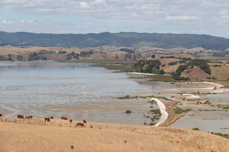 Duder Regional Park Walking Tours - The Guides and Their Impact