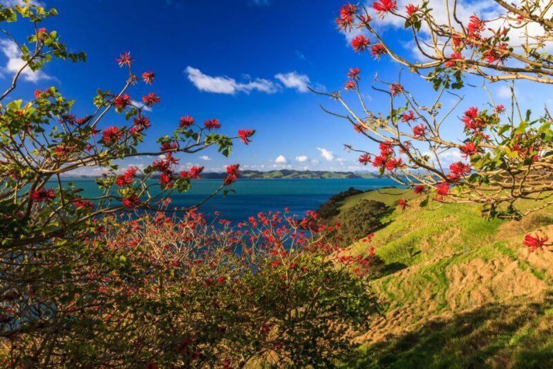 Duder Regional Park Walking Tours - Who Will Love This Tour?