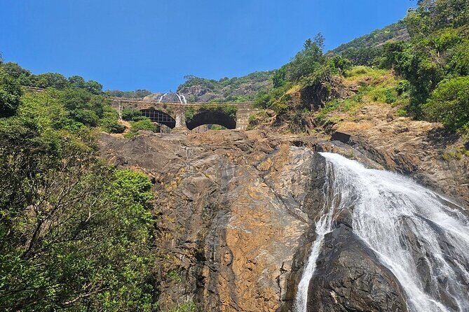 Dudhsagar Waterfalls, Jeep Safari & Spice Plantation private tour - Discovering the Dudhsagar Waterfalls, Jeep Safari & Spice Plantation Tour