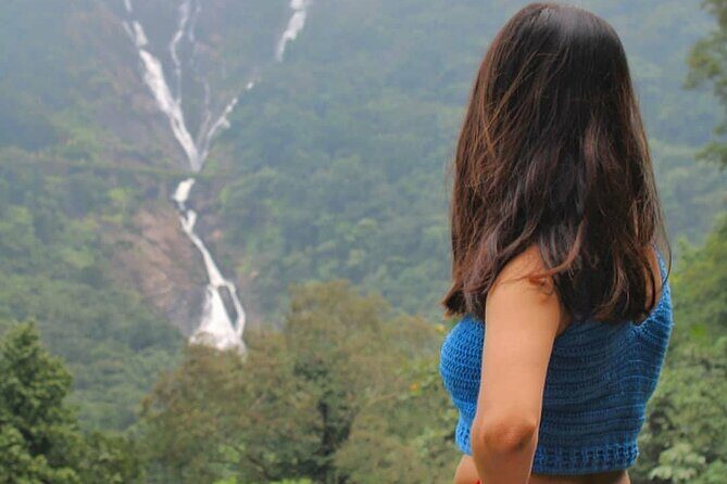 Dudhsagar Waterfalls, Jeep Safari & Spice Plantation private tour - Key Points