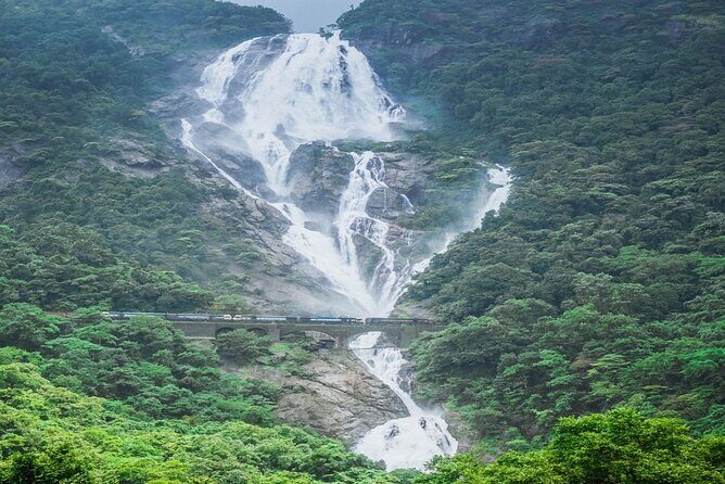 Dudhsagar Waterfalls, Jeep Safari & Spice Plantation private tour - Who Should Consider This Tour?