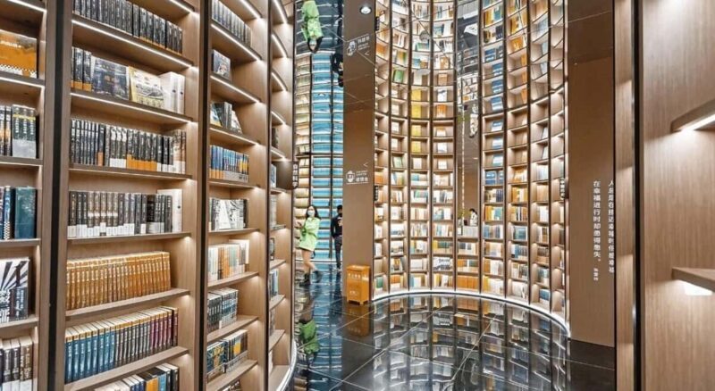 Dujiangyan Half Day Tour and Blue Tears Night View - Key Points