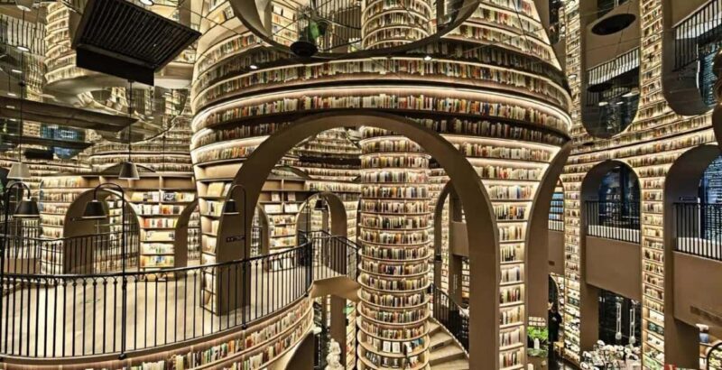 Dujiangyan Half Day Tour and Blue Tears Night View - Who Should Book This Tour?