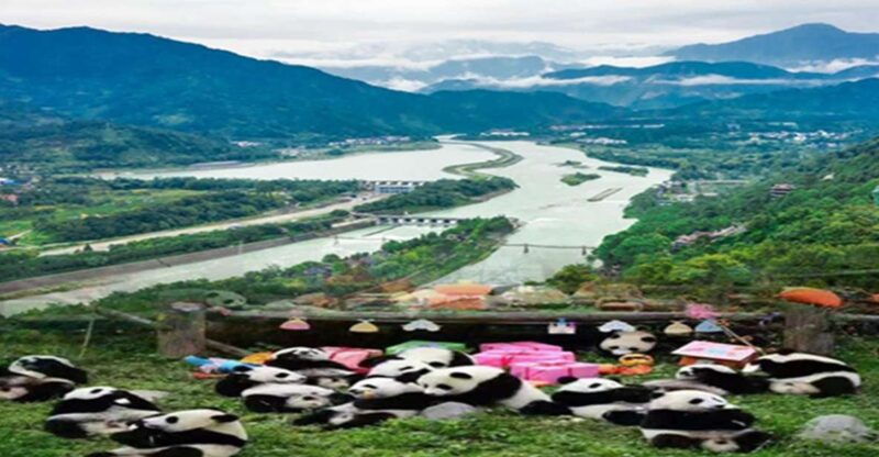 dujiangyan-panda-base-and-irrigation-system-park-day-tour