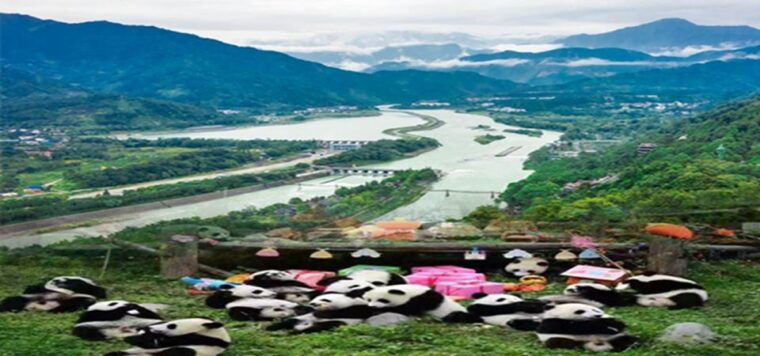 dujiangyan-panda-base-and-irrigation-system-park-day-tour