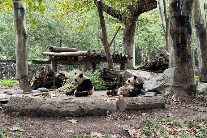 Dujiangyan Panda base & Irrigation System Private Day Tour - FAQs