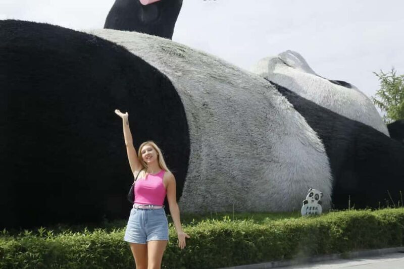 Dujingyan Giant Panda tour option Red Panda interactive - In-Depth Review of the Dujingyan Panda Experience