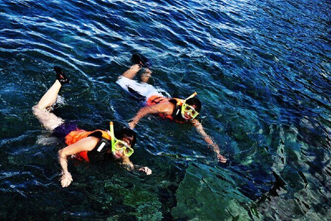 Dumaguete Apo Island Snorkeling Tour - Introduction