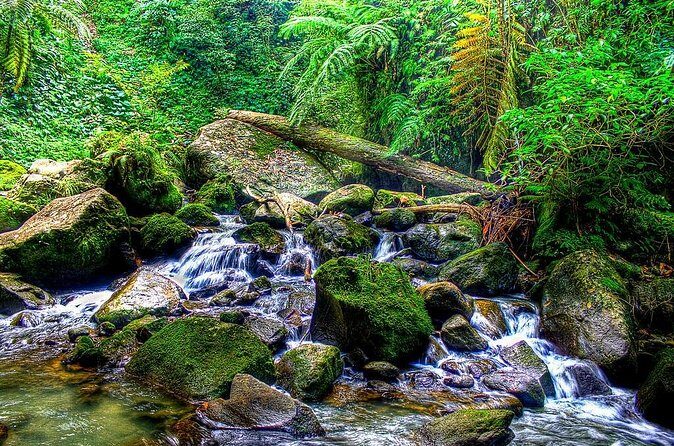 Dumaguete Casaroro Falls & Balinsasayaw Twin Lakes Tour - Final Thoughts: Who Is This Tour For?