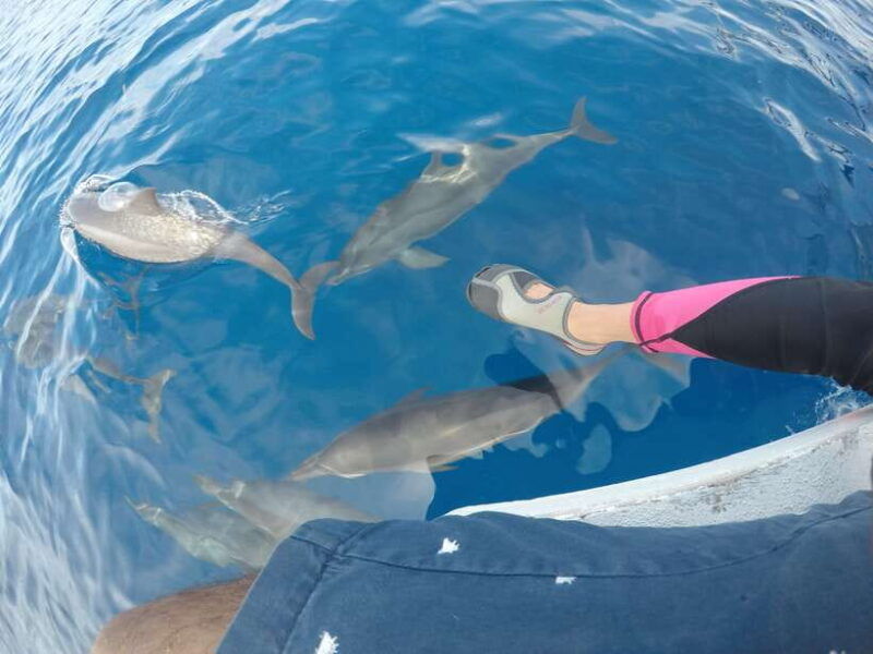 dumaguete-dolphin-watching-manjuyod-sandbar-private-tour