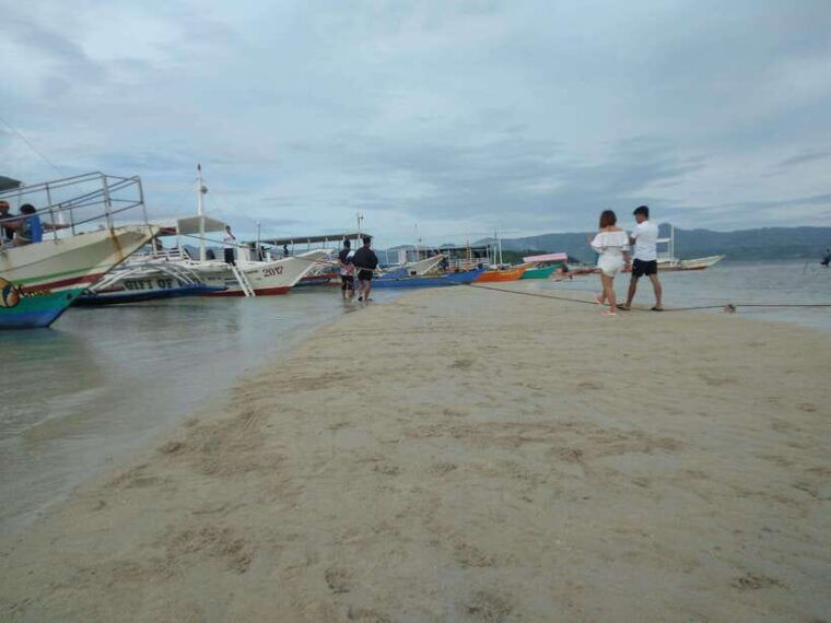 dumaguete-dolphin-watching-manjuyod-sandbar-private-tour