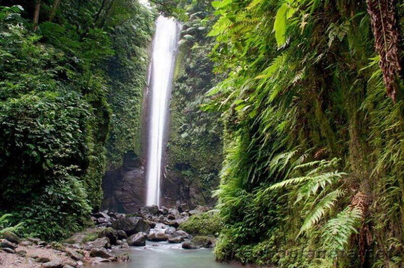 dumaguete-half-day-valencia-w-casaroro-falls-private-tour