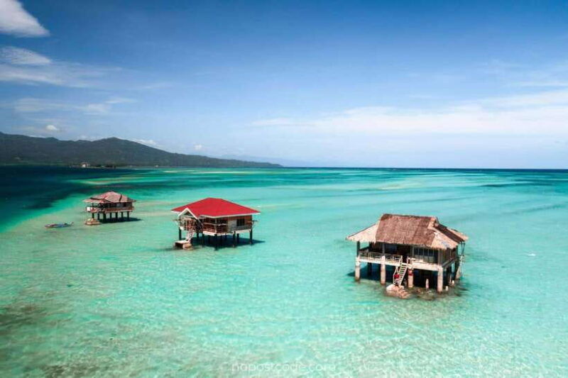 dumaguete-manjuyod-sand-bar-dolphin-watching