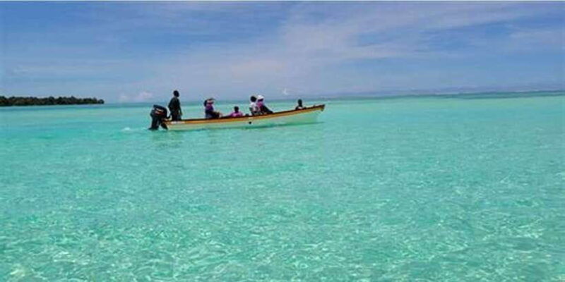 dumaguete-manjuyod-sand-bar-dolphin-watching
