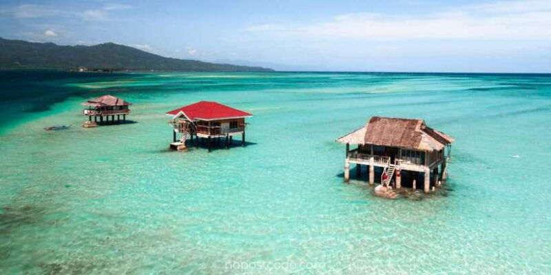 dumaguete-manjuyod-sand-bar-dolphin-watching