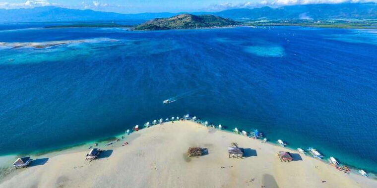 dumaguete-manjuyod-sand-bar-dolphin-watching