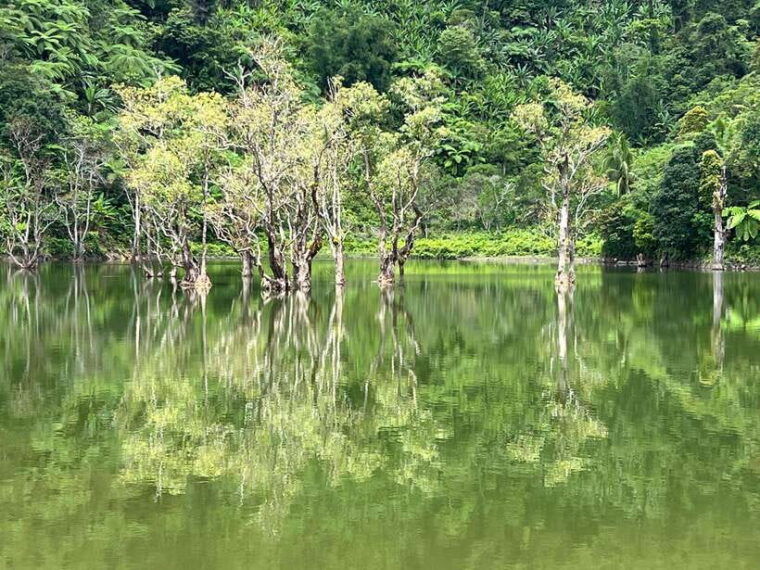 dumaguete-tours-in-english