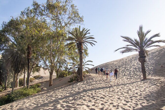 dune-buggy-at-sunset-sandboarding-from-huacachina-or-ica