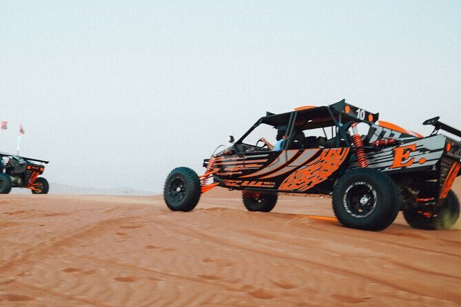 Dune Buggy Experience & Fossil Discovery in Mleiha National Park - What Makes This Tour Special?