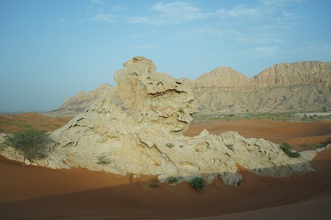 Dune Buggy & Private Dinner in the Dunes in Mleiha National Park - The Practicalities: Pricing, Duration, and Logistics
