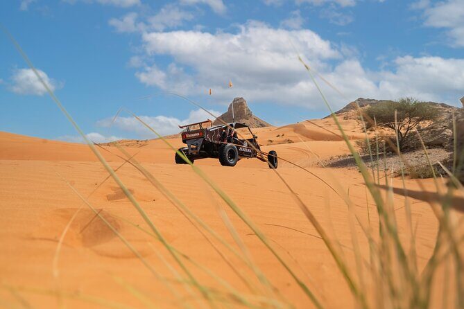 Dune Buggy & Private Dinner in the Dunes in Mleiha National Park - Final Thoughts