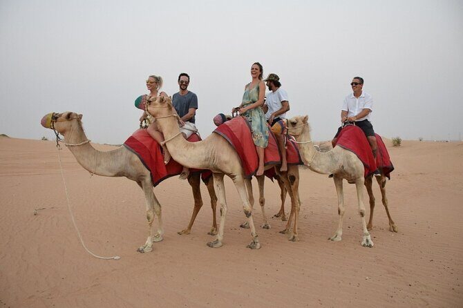 Dune Buggy Ride with Luxury BBQ Dinner at Heritage Camp - FAQ