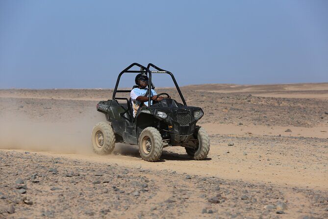 Dune Buggy Safari in Hurghada Desert (Polaris RZR) - What to Expect from the Experience