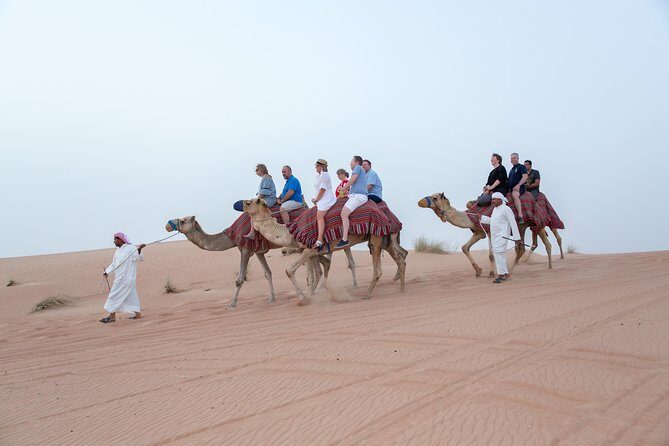 Dune Dinner Safari Abu Dhabi - Final Thoughts