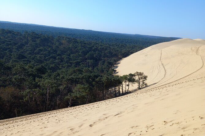 Dune du Pilat and Oysters Tasting in only 1 hour away from Bordeaux ! What else? - The Experience in a Nutshell
