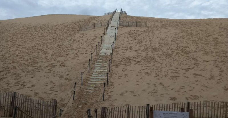 dune-du-pilat-and-oysters-tasting-what-else