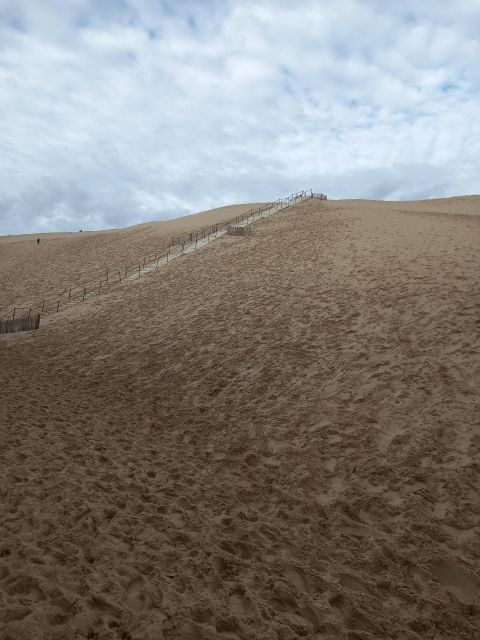 dune-du-pilat-and-oysters-tasting-what-else
