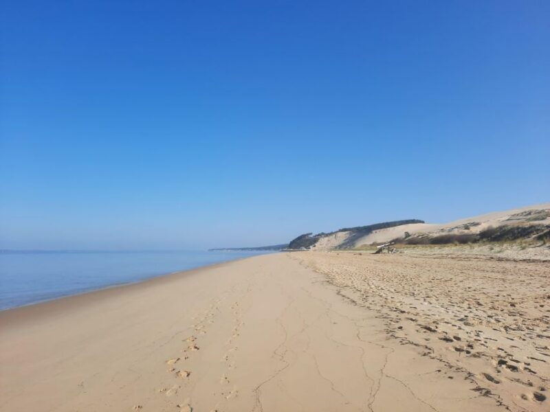 dune-du-pilat-and-oysters-tasting-what-else