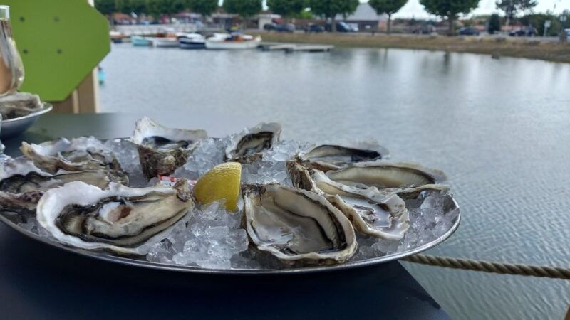 dune-du-pilat-and-oysters-tasting-what-else