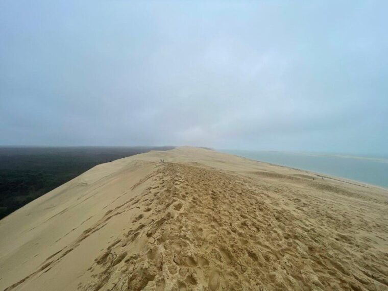 dune-du-pilat-and-oysters-tasting-what-else