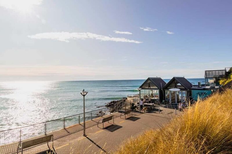 Dunedin: 3 Hour Artisan Food Walking Tour - Key Points