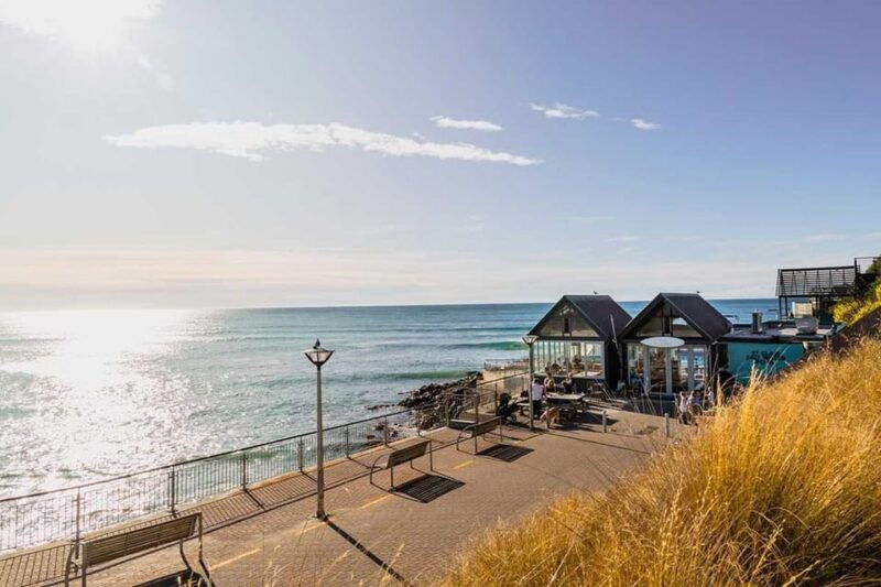 dunedin-3-hour-artisan-food-walking-tour