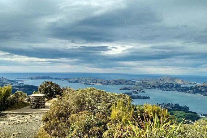 Dunedin 4 Hrs halfday Private Tour - Transportation and Logistics