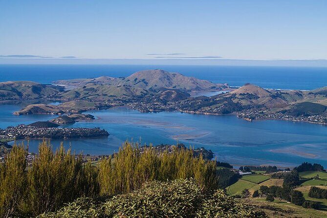 Dunedin 4 Hrs halfday Private Tour - Price & Value