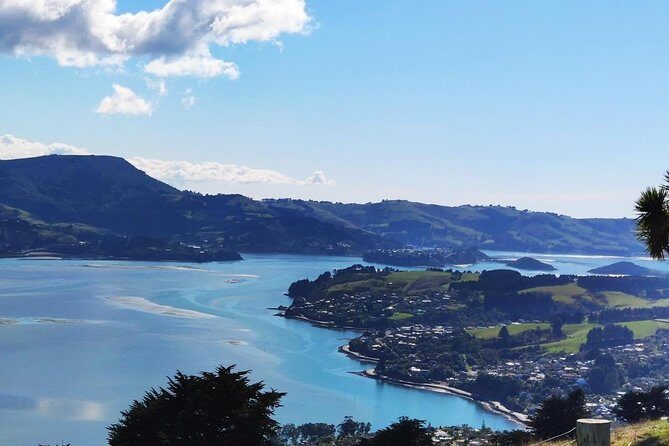 Dunedin City and Coastal Views 3-Hour Small-Group Guided Tour - Practical Tips for Your Tour