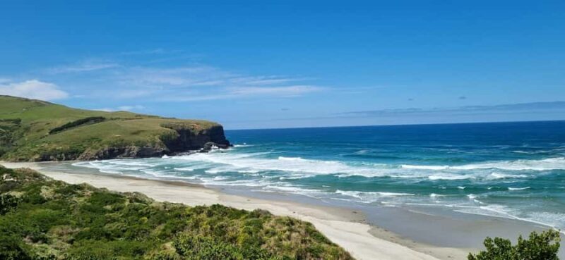 Dunedin City & Coastal Views 3-Hour Small-Group Tour - Central Dunedin & Final Highlights