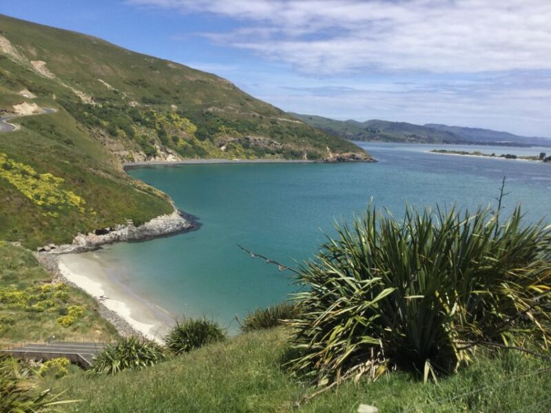 Dunedin: City Highlights and Otago Peninsula Scenery - Transportation and Value