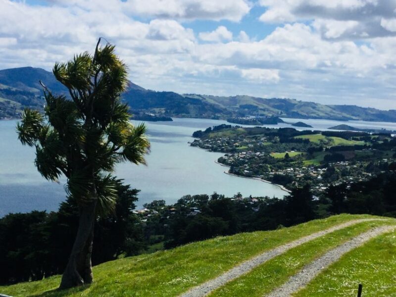 Dunedin: City Highlights and Otago Peninsula Scenery - Final Thoughts