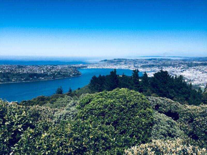 Dunedin: City Highlights and Otago Peninsula Scenery - FAQs