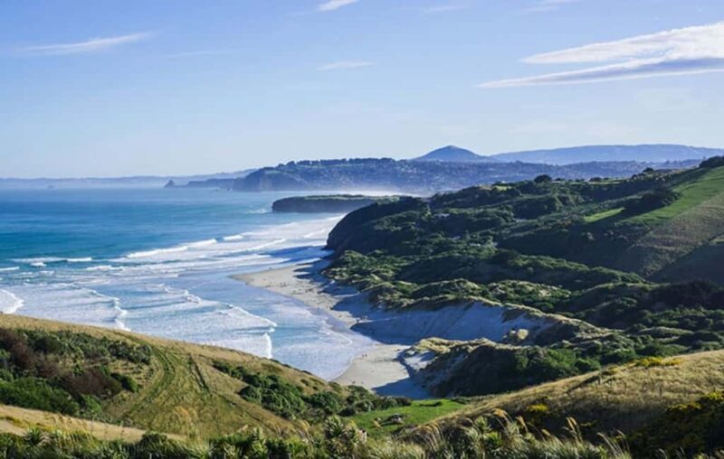 Dunedin City & Otago Peninsula Scenery Day Tour - FAQs