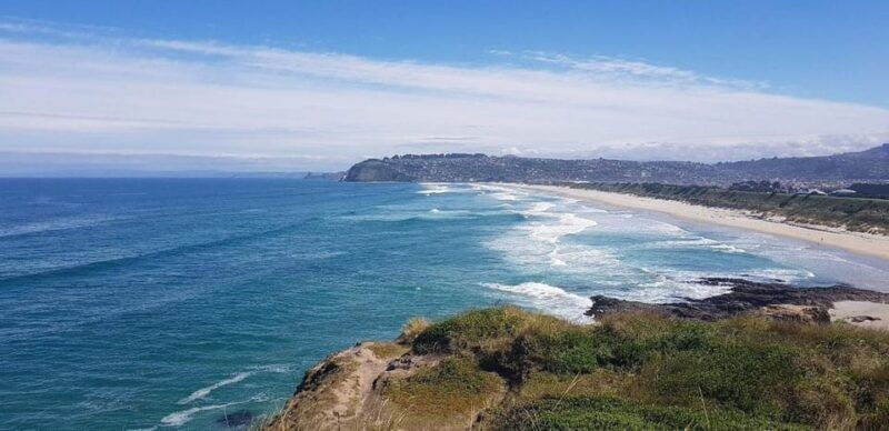 dunedin-city-otago-peninsula-scenery-day-tour